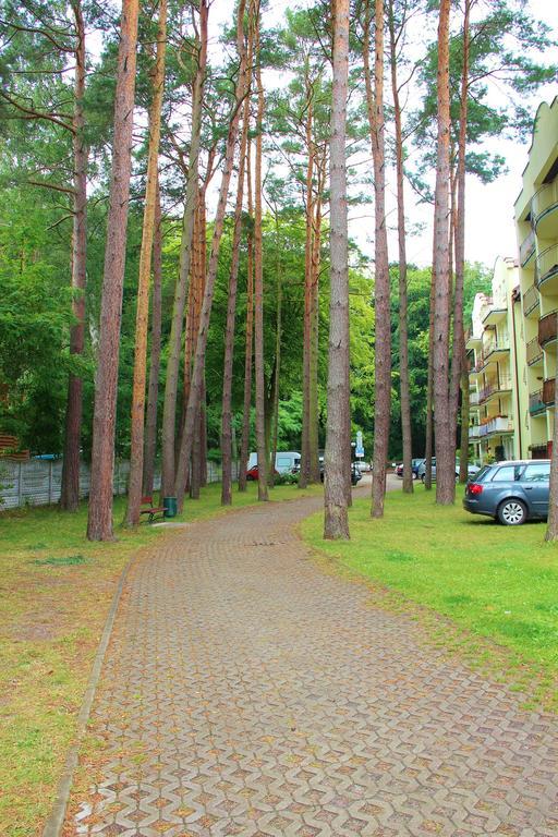 Smm Apartament Gryf Morskie Oko Мендзыздрое Номер фото